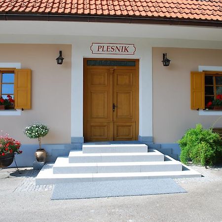 Farm Stay Rotovnik - Plesnik Slovenj Gradec Exterior foto